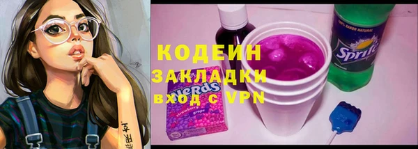 прущие грибы Балабаново