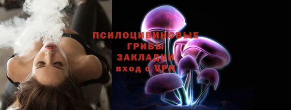 прущие грибы Балабаново