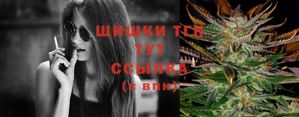 крисы Баксан