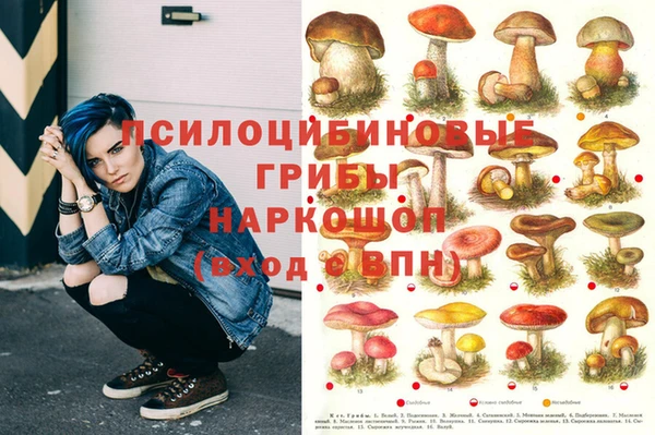 прущие грибы Балабаново