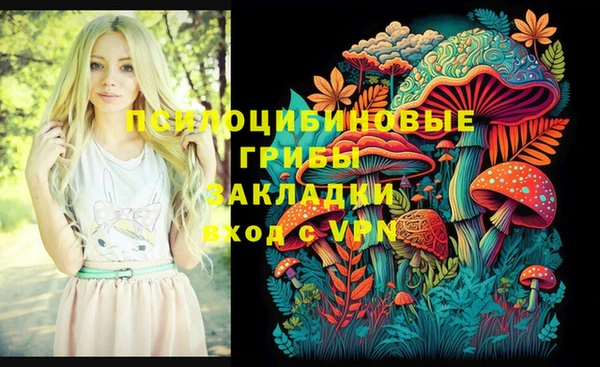 спиды Балахна