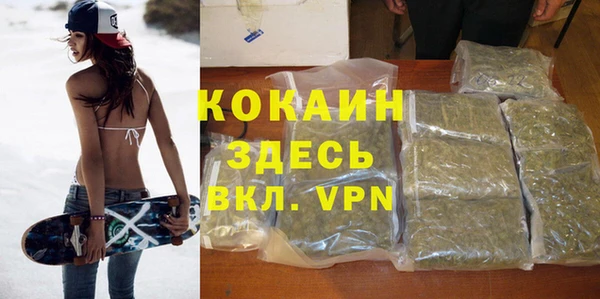 крисы Баксан