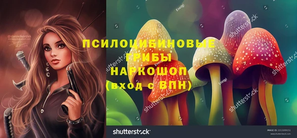 прущие грибы Балабаново
